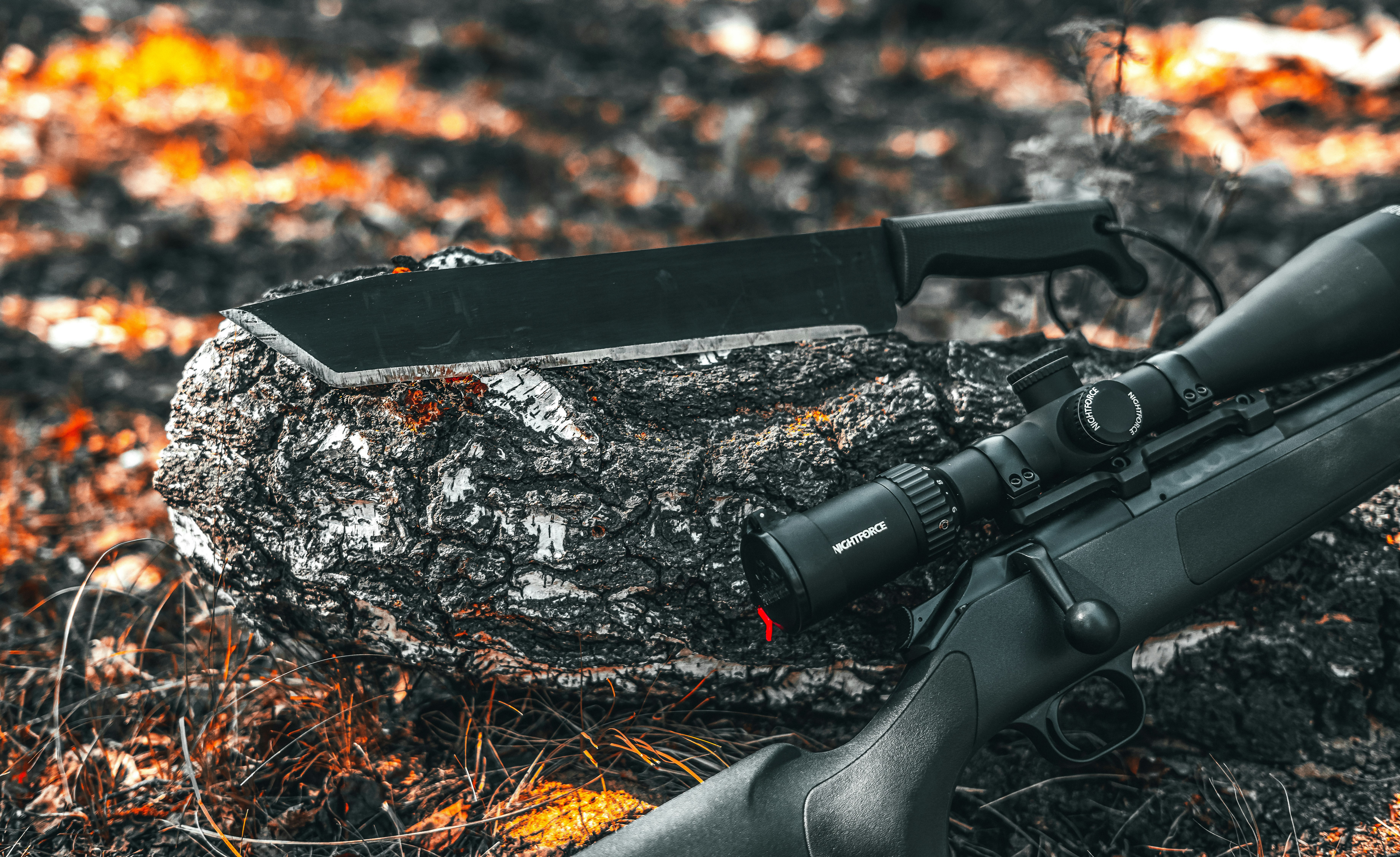 black rifle on brown dried leaves